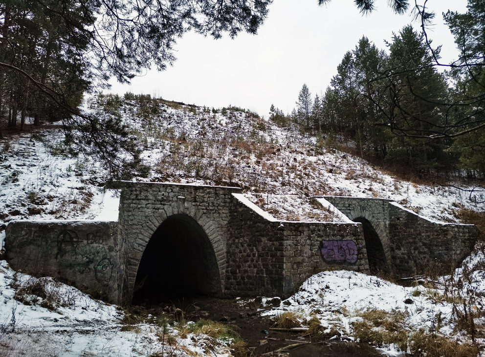 Реж. Старинные каменные арки железнодорожного моста через Талицу